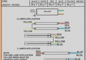 Fulham Ballast Wiring Diagram T5 Ballast Wiring Book Diagram Schema Fulham Ballast Wiring Diagram T5 Ballast Wiring Book Diagram Schema