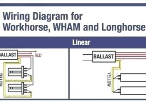 Fulham Workhorse 2 Wh2 120 L Wiring Diagram Gs 1034 Workhorse 5 Ballast Wiring Diagram Free Picture