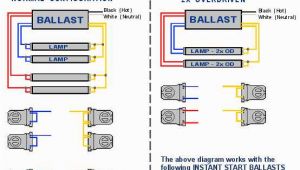 Fulham Workhorse 5 Wiring Diagram 3 Lamp T8 Ballast Wiring Diagram Blog Wiring Diagram