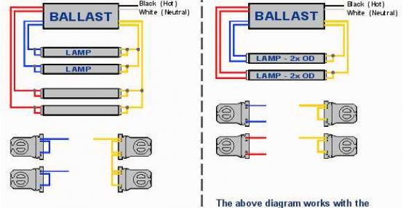 Fulham Workhorse 5 Wiring Diagram 3 Lamp T8 Ballast Wiring Diagram Blog Wiring Diagram