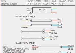 Fulham Workhorse Wh5 120 L Wiring Diagram Basic Car Audio Wiring Diagram at Manuals Library Fulham Workhorse Wh5 120 L Wiring Diagram Basic Car Audio Wiring Diagram at Manuals Library