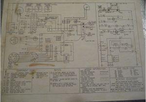 Furnace Circuit Board Wiring Diagram Gas Furnace Control Board Diagram Diagram Base Website Board