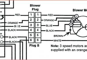 Furnace Fan Wiring Diagram Furnace thermostat Wire Customersupportnumber Co Furnace Fan Wiring Diagram Furnace thermostat Wire Customersupportnumber Co