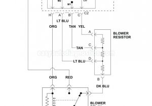 Furnace Motor Wiring Diagram 95 Chevy Silverado Heater Control Wiring Wiring Diagram Blog Furnace Motor Wiring Diagram 95 Chevy Silverado Heater Control Wiring Wiring Diagram Blog