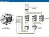 Furnas Magnetic Starter Wiring Diagram Standard Contactor Wiring Diagram Blog Wiring Diagram