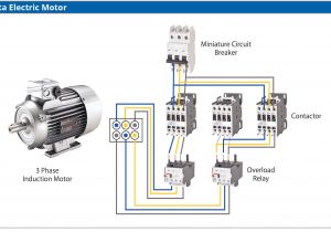 Furnas Magnetic Starter Wiring Diagram Standard Contactor Wiring Diagram Blog Wiring Diagram Furnas Magnetic Starter Wiring Diagram Standard Contactor Wiring Diagram Blog Wiring Diagram