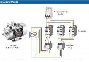 Furnas Magnetic Starter Wiring Diagram Standard Contactor Wiring Diagram Blog Wiring Diagram