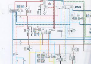 Fzr 1000 Exup Wiring Diagram Yamaha Yzf 1000 Wiring Diagram Wiring Diagram Fascinating