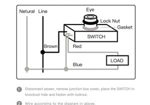 Garage Door Photo Eye Wiring Diagram Photoelectric Eye Wiring Diagram Wiring Diagram Garage Door Photo Eye Wiring Diagram Photoelectric Eye Wiring Diagram Wiring Diagram