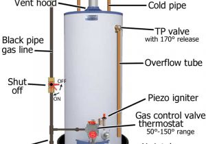 Gas Hot Water Heater Wiring Diagram Basic Parts for Gas Water Heater