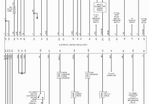 Ge Motor Starter Wiring Diagram Ge Motor Starter Wiring Diagram Wiring Diagram Ge Motor Starter Wiring Diagram Ge Motor Starter Wiring Diagram Wiring Diagram