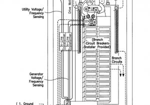 Generac 100 Amp Automatic Transfer Switch Wiring Diagram Lovely Ls Standalone Wiring Harness Diagram Cloudmining Promo Net