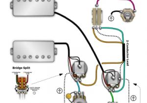 Gibson Wiring Diagrams 1957 Gibson Les Paul Wiring Diagram Database Wiring Diagram Gibson Wiring Diagrams 1957 Gibson Les Paul Wiring Diagram Database Wiring Diagram