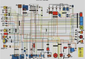 Gl1000 Wiring Diagram Gl1200 Wiring Diagram Wiring Diagram Expert Gl1000 Wiring Diagram Gl1200 Wiring Diagram Wiring Diagram Expert