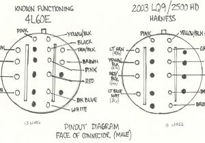 Gm 4l60e Transmission Wiring Diagram Gm 4l60e Wiring Diagram Wiring Diagram Technic Gm 4l60e Transmission Wiring Diagram Gm 4l60e Wiring Diagram Wiring Diagram Technic