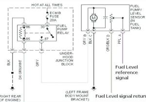 Gm Fuel Sending Unit Wiring Diagram 1965 Chevy Truck Fuel Pump Wiring Wiring Diagram Preview