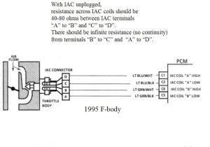 Gm Tps Wiring Diagram Gm Iac Wiring Wiring Diagram Gm Tps Wiring Diagram Gm Iac Wiring Wiring Diagram