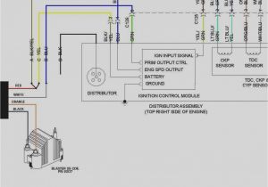Gmos 06 Wiring Diagram Metra Wiring Harness Diagram Wiring Diagram Database