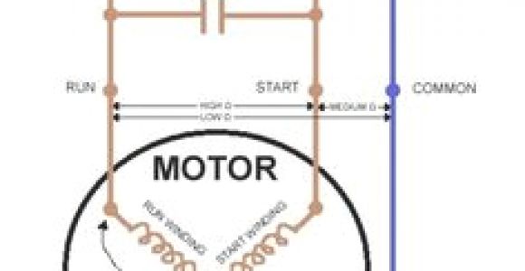 Godrej Refrigerator Compressor Wiring Diagram 24 Best Refrigerator Compressor Images In 2019 Ham Hams Sausage