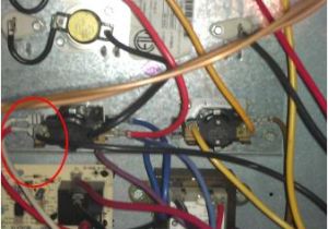 Goodman 10kw Heat Strip Wiring Diagram Diagram York Heat Strips Wiring Diagram Full Version Hd Goodman 10kw Heat Strip Wiring Diagram Diagram York Heat Strips Wiring Diagram Full Version Hd