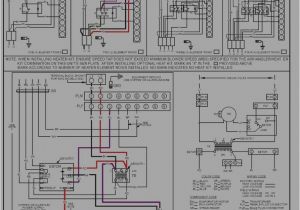 Goodman Fan Control Board Wiring Diagram Aruf Wiring Diagram Pro Wiring Diagram