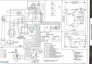 Goodman Gmp075 3 Wiring Diagram Goodman Gas Furnace Wiring Diagram Package Free Coo Goodman Gmp075 3 Wiring Diagram Goodman Gas Furnace Wiring Diagram Package Free Coo