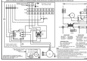 Goodman Heat Pump Wiring Diagram Heat Strip Wiring Diagram Blog Wiring Diagram