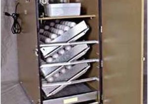 Gqf 1202 Wiring Diagram 29 Best Egg Incubator Images In 2013 Egg Incubator Chicken Eggs Gqf 1202 Wiring Diagram 29 Best Egg Incubator Images In 2013 Egg Incubator Chicken Eggs