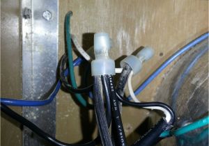 Gqf 1202 Wiring Diagram Gqf Incubator thermostat Wiring Diagra Wiring Library Gqf 1202 Wiring Diagram Gqf Incubator thermostat Wiring Diagra Wiring Library