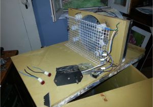 Gqf 1202 Wiring Diagram Gqf Incubator thermostat Wiring Diagra Wiring Library Gqf 1202 Wiring Diagram Gqf Incubator thermostat Wiring Diagra Wiring Library