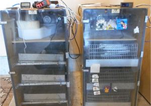 Gqf 1202 Wiring Diagram Gqf Incubator thermostat Wiring Diagra Wiring Library Gqf 1202 Wiring Diagram Gqf Incubator thermostat Wiring Diagra Wiring Library