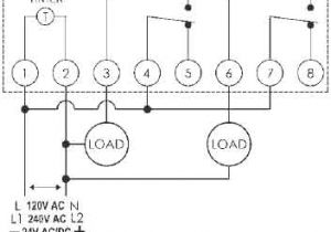 Grasslin Defrost Timer Dtav40 Wiring Diagram Intermatic Timers and Manuals