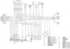 Green Mountain Grill Wiring Diagram Xtreme Wiring Diagram Wiring Diagram
