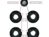 Guitar Speaker Cabinet Wiring Diagrams 4×10 Wiring Diagram Wiring Diagram Info