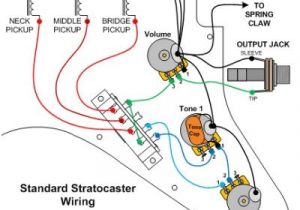 Guitar Wiring Diagrams 1 Pickup 1 Volume 1 tone Images Of Fender Stratocaster Pickup Wiring Diagram Wire