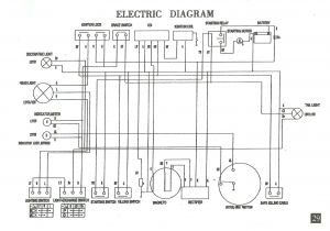 Gy6 50cc Wiring Diagram 2014 Tao Moped Wiring Diagram Wiring Diagram Centre