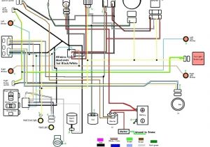 Gy6 50cc Wiring Diagram Wiring Diagram Data Schema Exp Notation Emphasize Best Ideas Gives