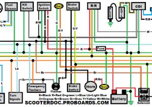 Gy6 50cc Wiring Diagram Wiring Diagram for A Scooter Table Wiring Diagram