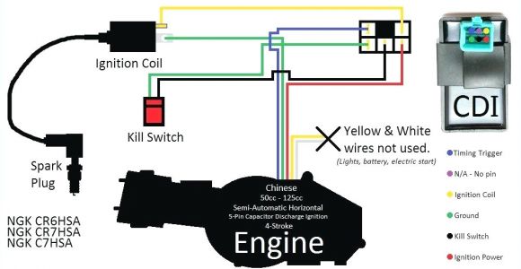 Gy6 Dc Cdi Wiring Diagram 50cc Cdi Wiring Diagram Wiring Diagram Name