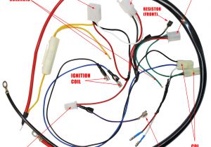 Gy6 Engine Wiring Diagram Engine Wiring Harness for Gy6 150cc Engine 05711a Bmi Karts and