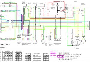 Gy6 Engine Wiring Diagram Znen 150cc Gy6 Ignition Wiring Diagram Wiring Diagram Center