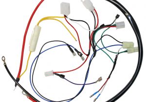 Gy6 Go Kart Wiring Diagram Engine Wiring Harness for Gy6 150cc Engine 05711a Bmi Karts and Gy6 Go Kart Wiring Diagram Engine Wiring Harness for Gy6 150cc Engine 05711a Bmi Karts and