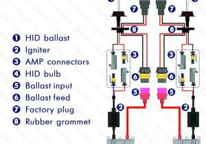 H4 Hid Wiring Diagram Philips Hid Wiring Diagram Wiring Diagram List