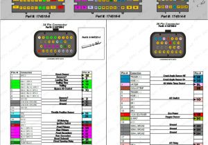 Haltech Platinum Sport 2000 Wiring Diagram 00 Jeep Xj Starter Wiring Wiring Library Haltech Platinum Sport 2000 Wiring Diagram 00 Jeep Xj Starter Wiring Wiring Library