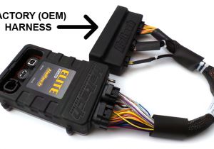 Haltech Platinum Sport 2000 Wiring Diagram Haltech Engine Management Systems A Blog Archive Product Overview Haltech Platinum Sport 2000 Wiring Diagram Haltech Engine Management Systems A Blog Archive Product Overview
