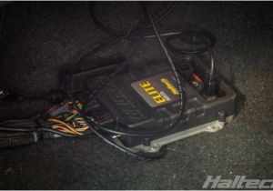 Haltech Platinum Sport 2000 Wiring Diagram Haltech Engine Management Systems Nissan Archives Haltech Haltech Platinum Sport 2000 Wiring Diagram Haltech Engine Management Systems Nissan Archives Haltech