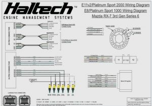 Haltech Platinum Sport 2000 Wiring Diagram Haltech Sport 2000 Wiring Diagram Wiring Diagrams Haltech Platinum Sport 2000 Wiring Diagram Haltech Sport 2000 Wiring Diagram Wiring Diagrams