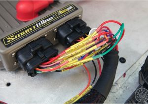 Haltech Platinum Sport 2000 Wiring Diagram Wiring and Engine Control Done Right with Racepak and Haltech Haltech Platinum Sport 2000 Wiring Diagram Wiring and Engine Control Done Right with Racepak and Haltech