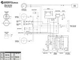 Hammerhead Go Kart Wiring Diagram 150cc Go Kart Wiring Diagram Lupa Fuse19 Klictravel Nl