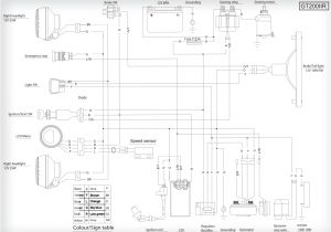 Hammerhead Go Kart Wiring Diagram Dune Buggy Engine Schematics Wiring Diagram